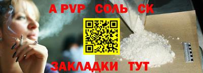 кокс Кингисепп