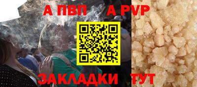 кокс Кингисепп