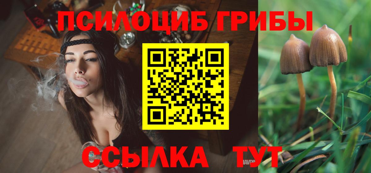 Псилоцибиновые грибы прущие грибы  Вход с VPN  Алапаевск 